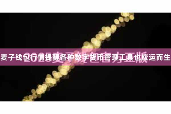 麦子钱包行情提醒各种数字货币管理工具也应运而生