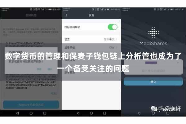数字货币的管理和保麦子钱包链上分析管也成为了一个备受关注的问题