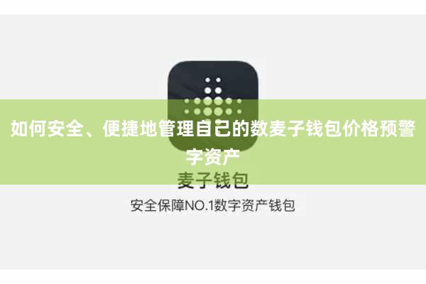 如何安全、便捷地管理自己的数麦子钱包价格预警字资产