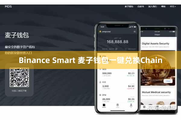 Binance Smart 麦子钱包一键兑换Chain